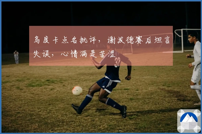 乌度卡点名批评，谢泼德赛后坦言失误，心情满是苦涩